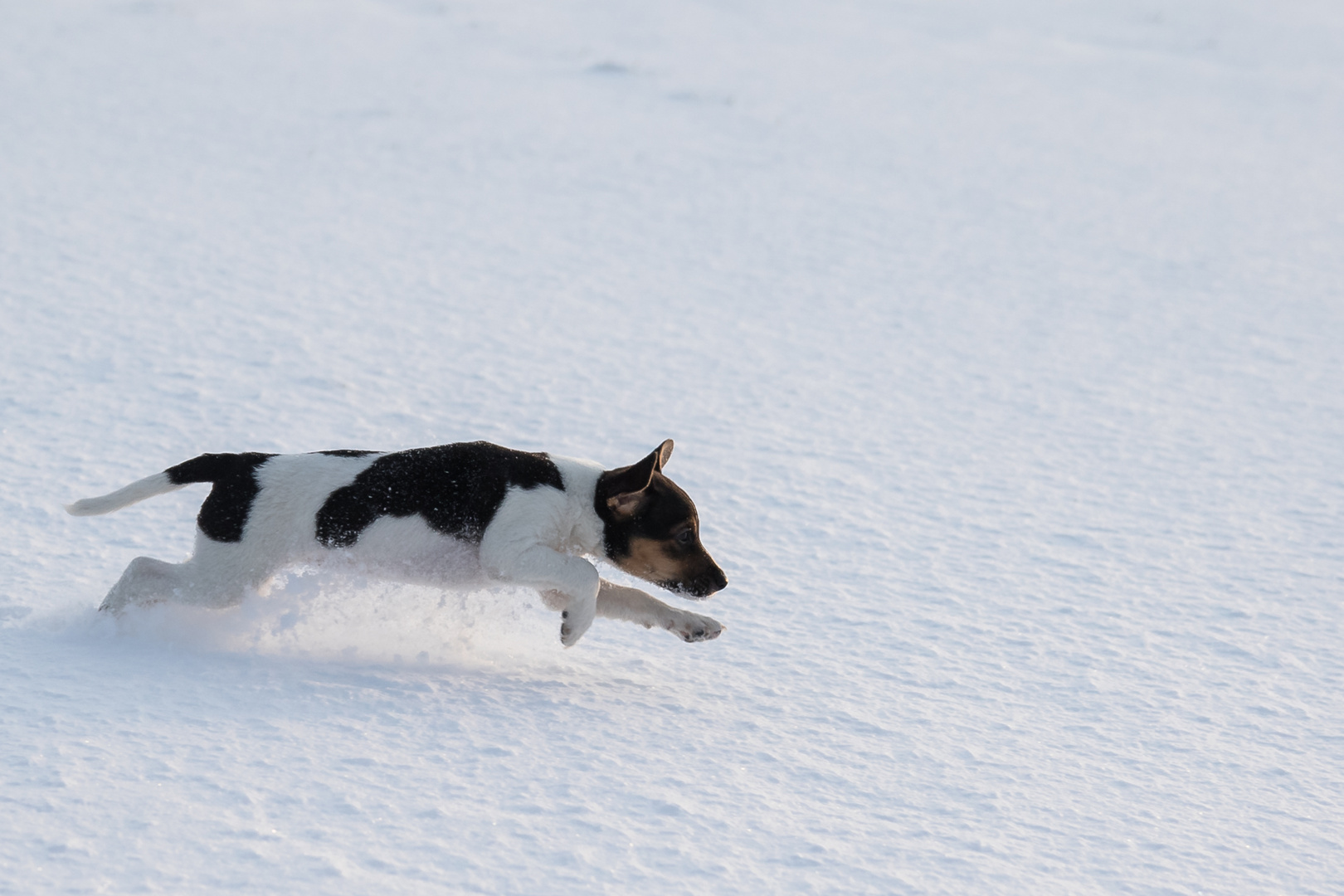 Erste Schneefreuden