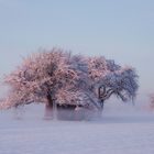 Erste Sonnenstahlen an einem eisigen Morgen