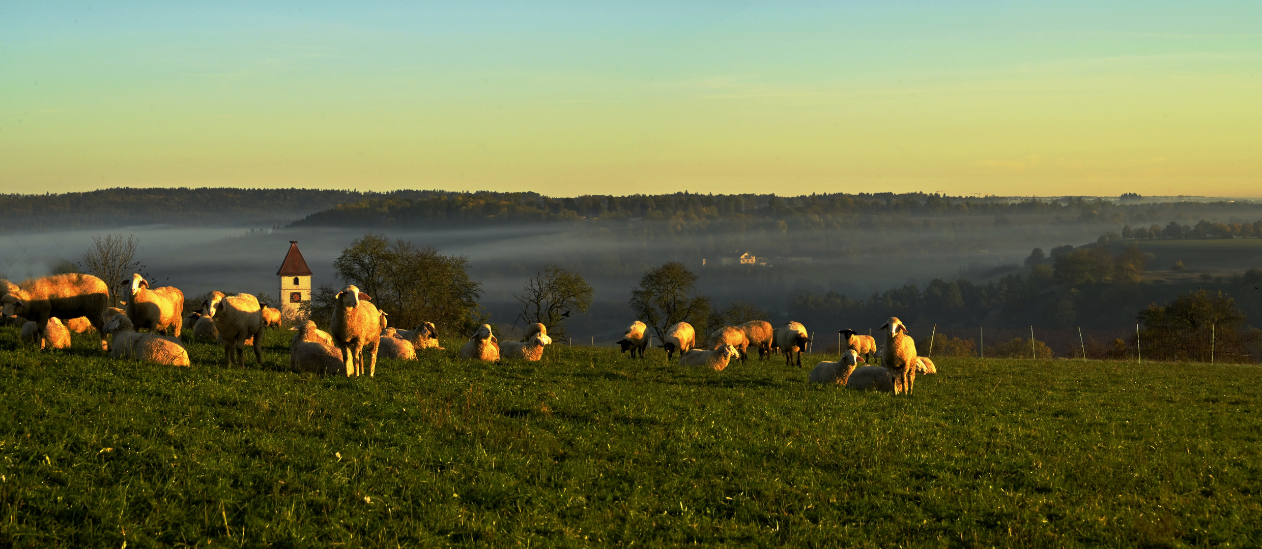 Erste Sonnenstrahlen