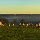 Erste Sonnenstrahlen