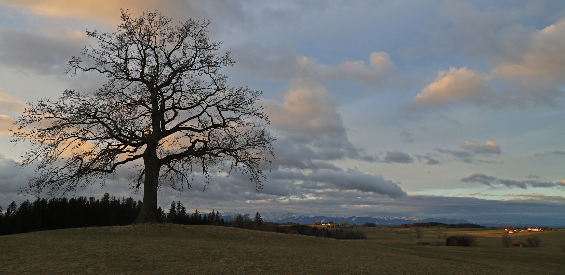 Erste Sonnenstrahlen...