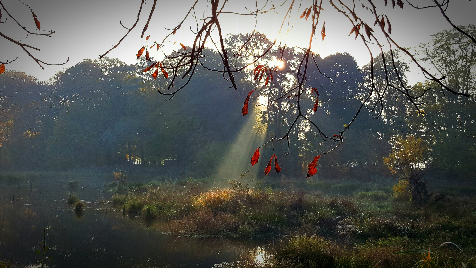 Erste Sonnenstrahlen 