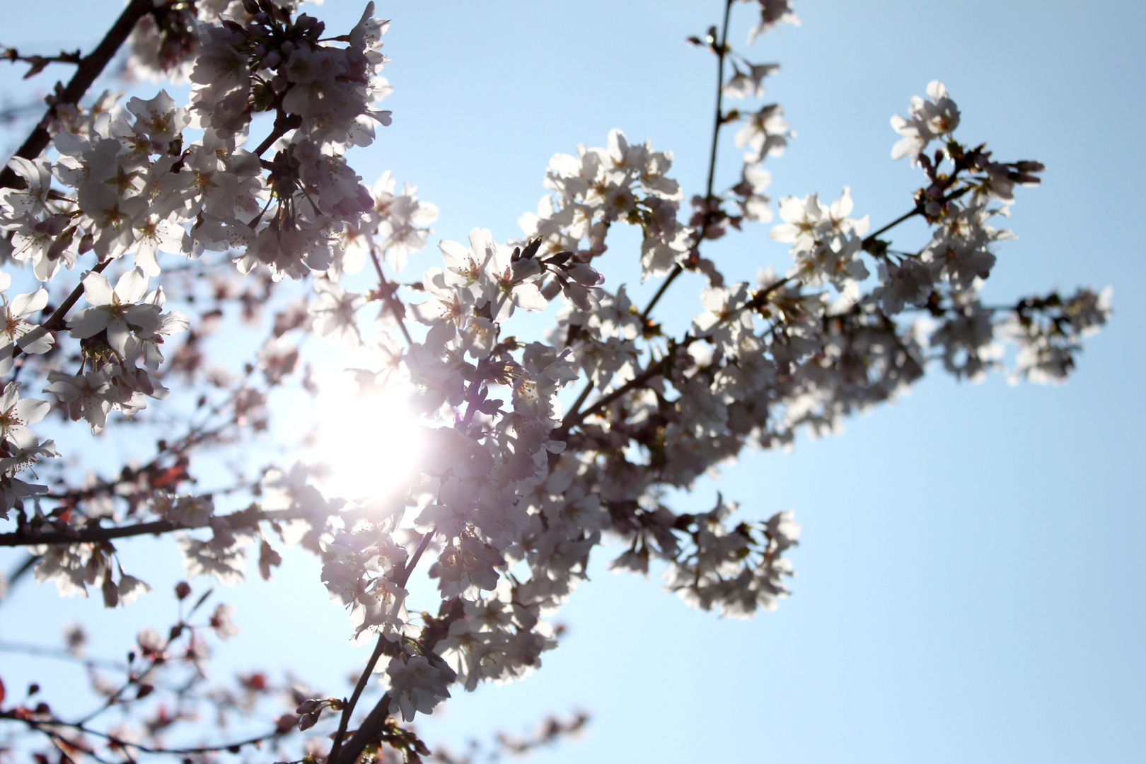 erste Sonnenstrahlen