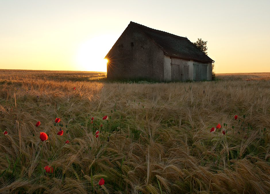 Erste Sonnenstrahlen