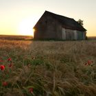 Erste Sonnenstrahlen