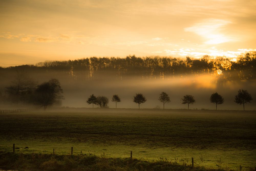 Erste Sonnenstrahlen