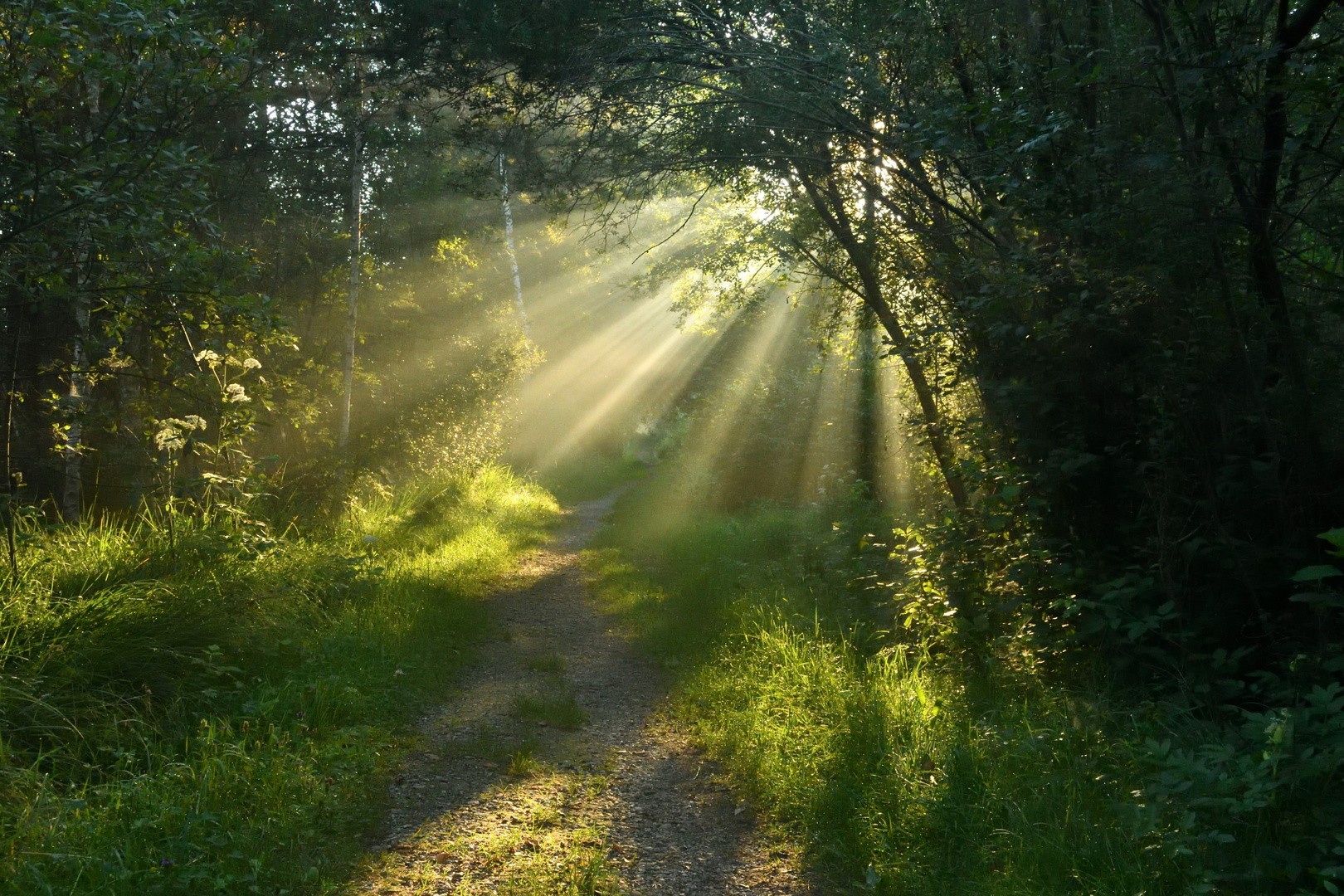 Erste Sonnenstrahlen