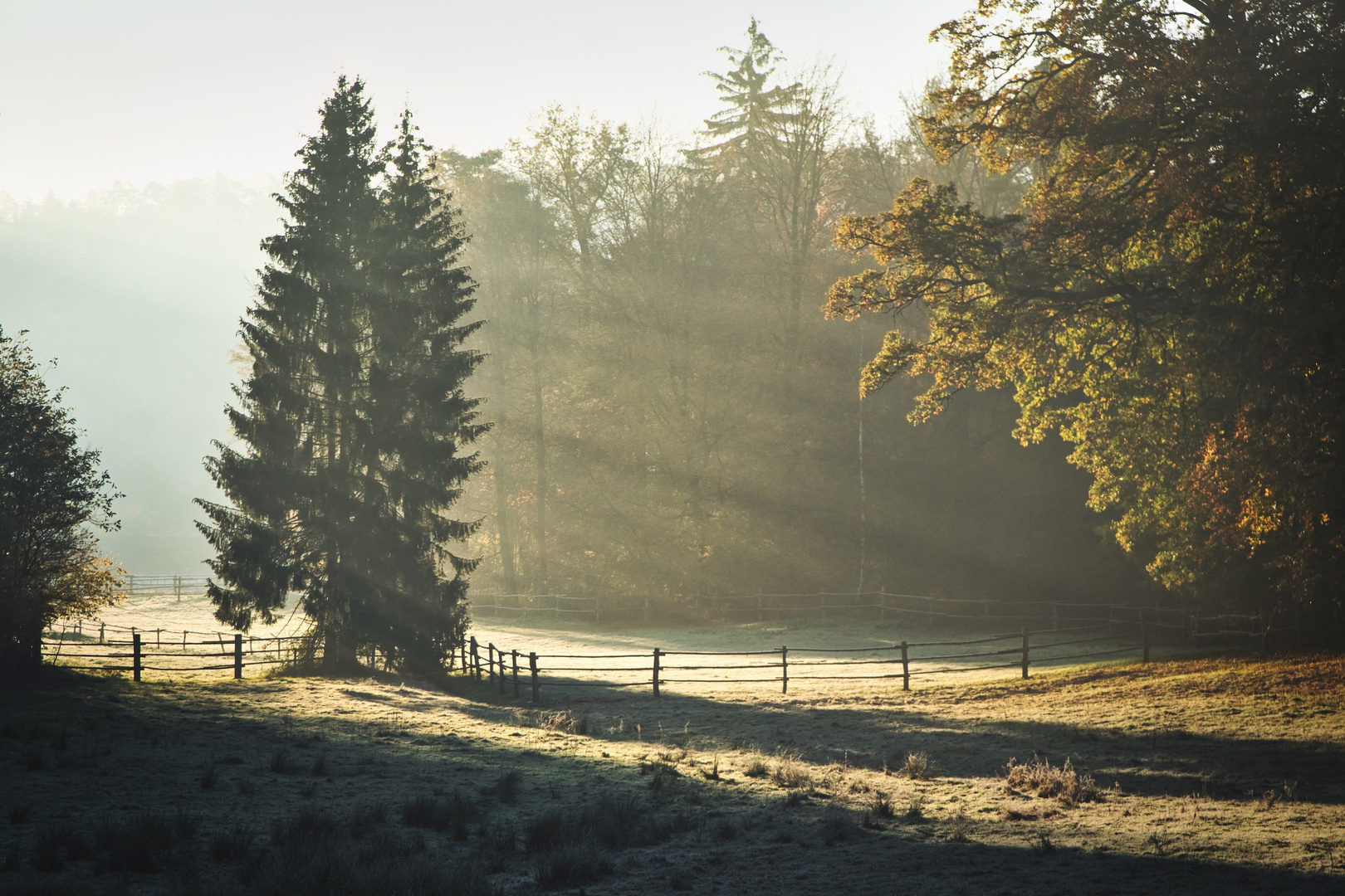 Erste Sonnenstrahlen am Herbstmorgen 