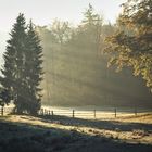 Erste Sonnenstrahlen am Herbstmorgen 