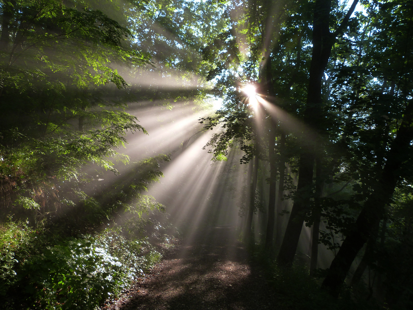 Erste Sonnenstrahlen am Morgen