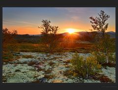 Erste Sonnenstrahlen - DRI