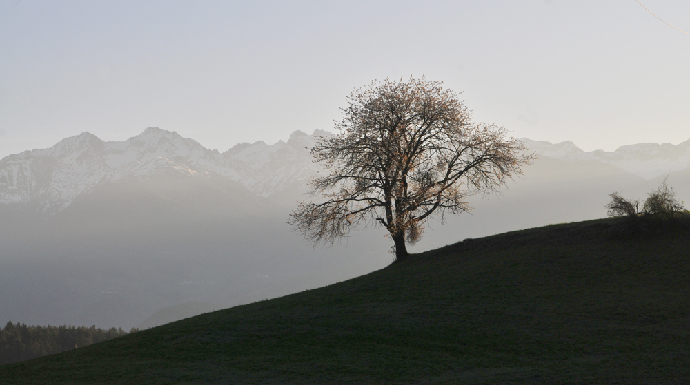 erste sonnenstrahlen