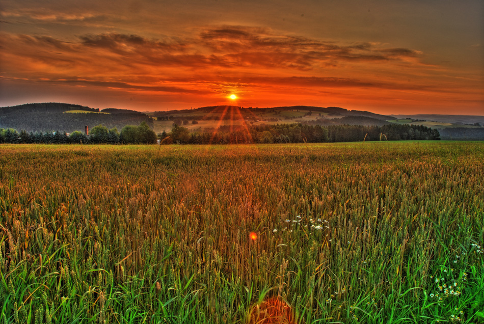 erste Sonnenstrahlen heute Morgen