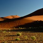 Erste Sonnenstrahlen in der Namibwüste.
