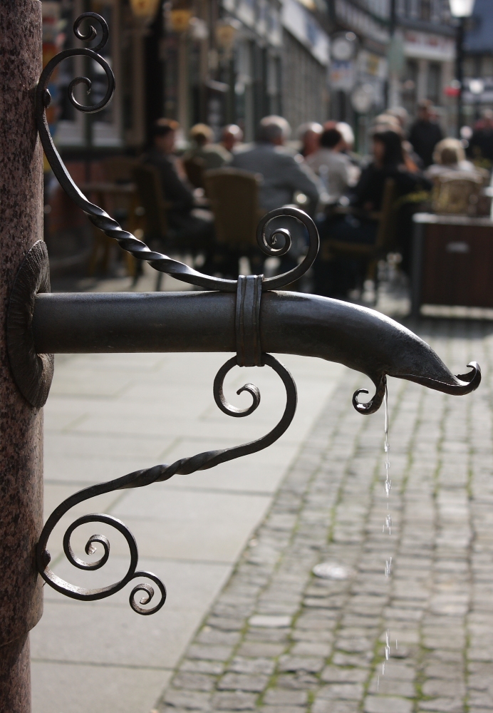 Erste Sonnenstrahlen locken