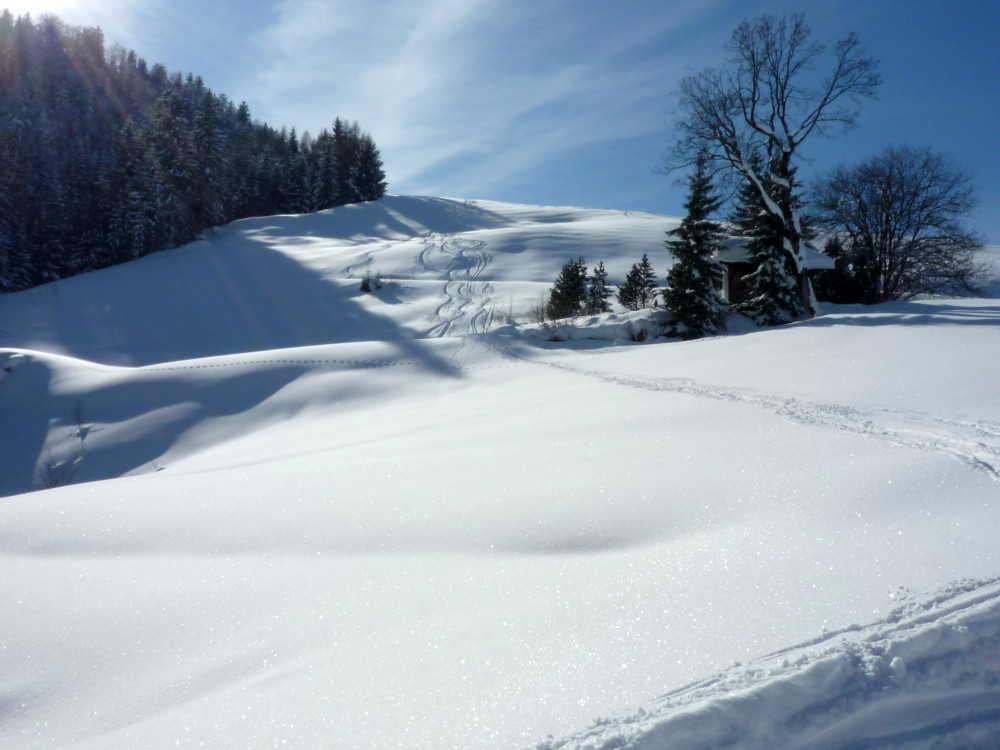 Erste Spuren im neuen Schnee