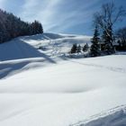 Erste Spuren im neuen Schnee