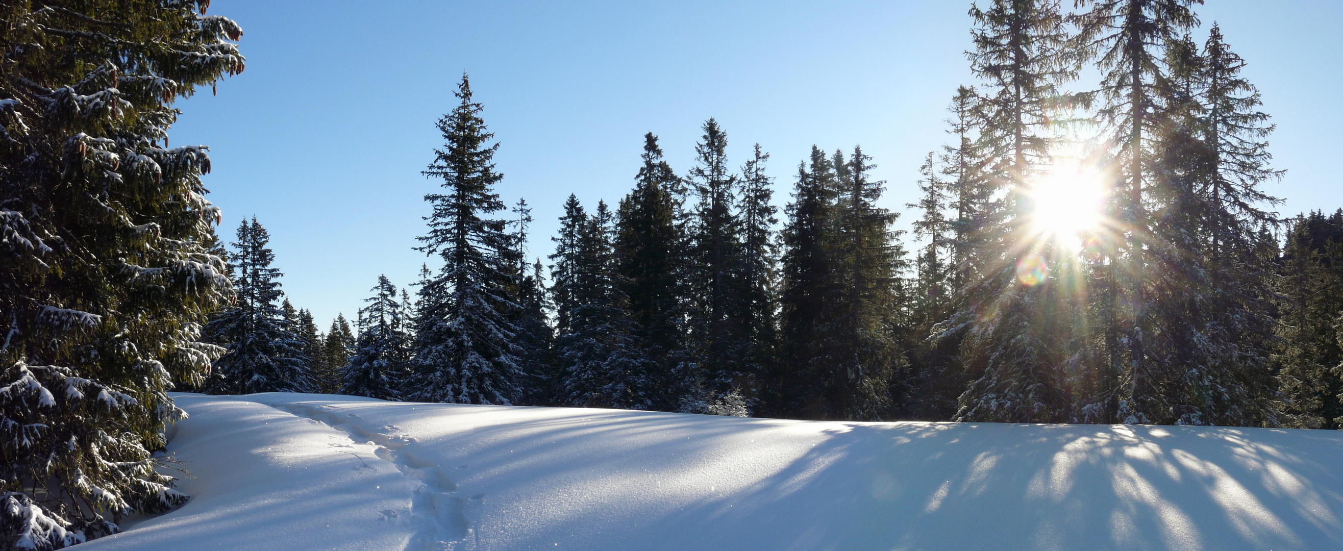 Erste Spuren im Schnee