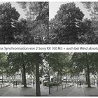 erste synchronisierte Testaufnahmen (3D)