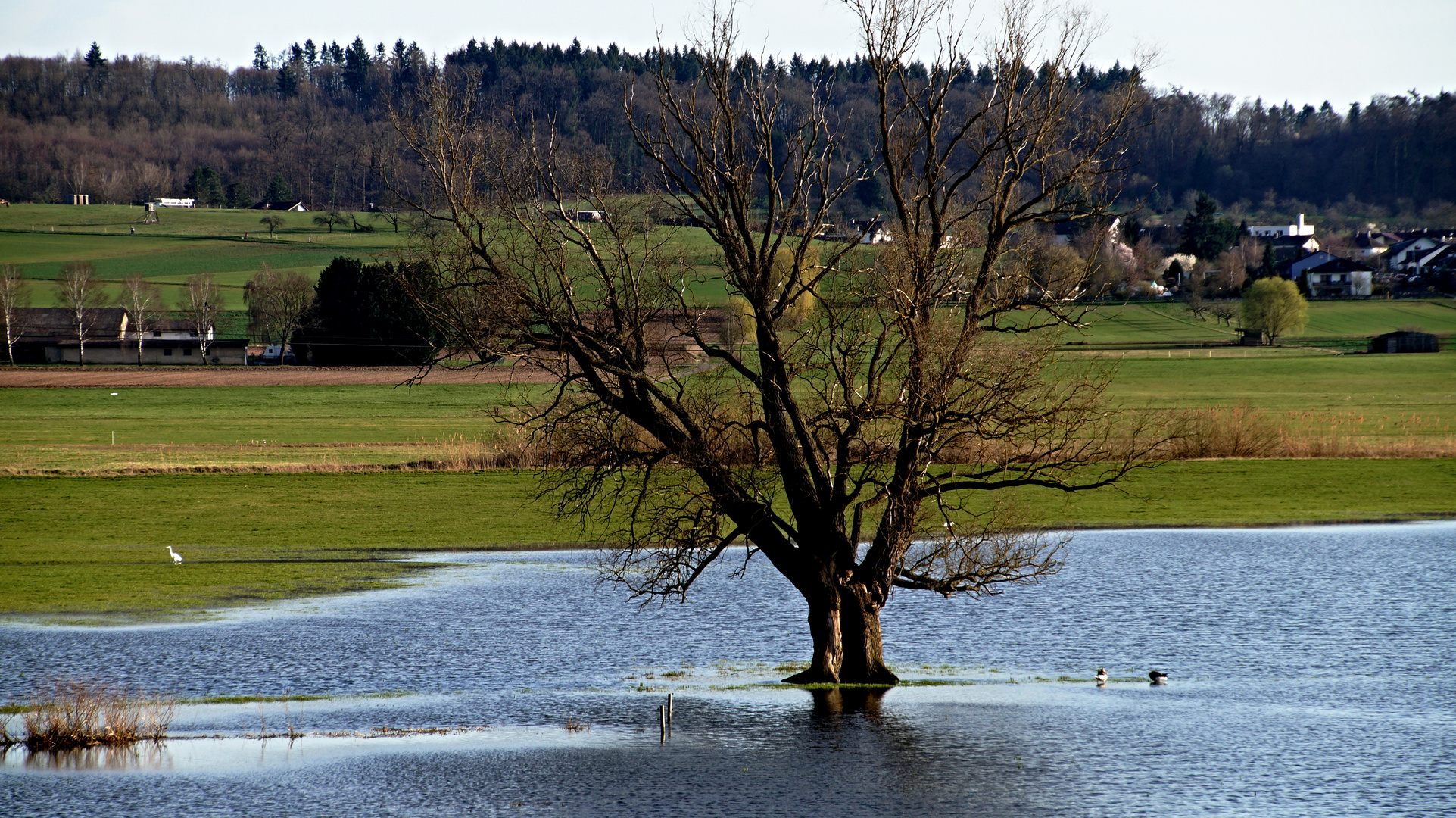 Erste Überschwemmungen in der Wetterau bei Büdingen