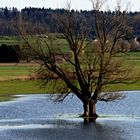 Erste Überschwemmungen in der Wetterau bei Büdingen