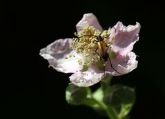 Erste Versuche nach längerer Zeit 