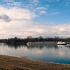 Erste Vorfrühlingssonne am Rhein