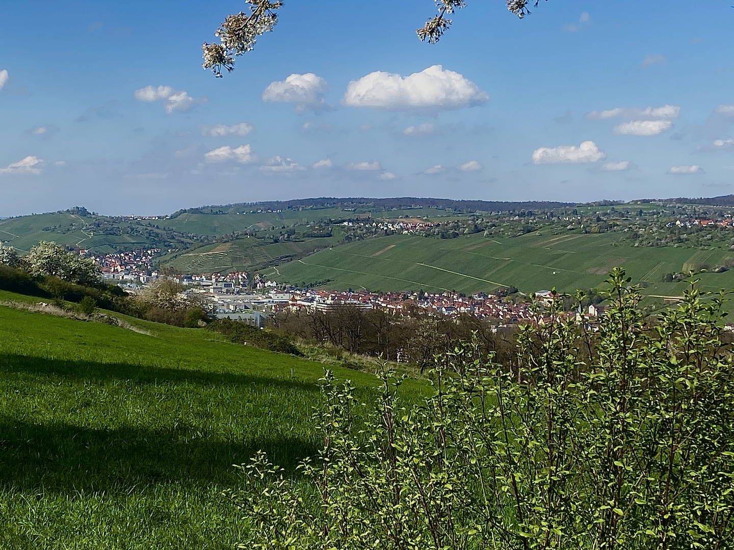 erste warme Temperaturen und es riecht nach Frühling 