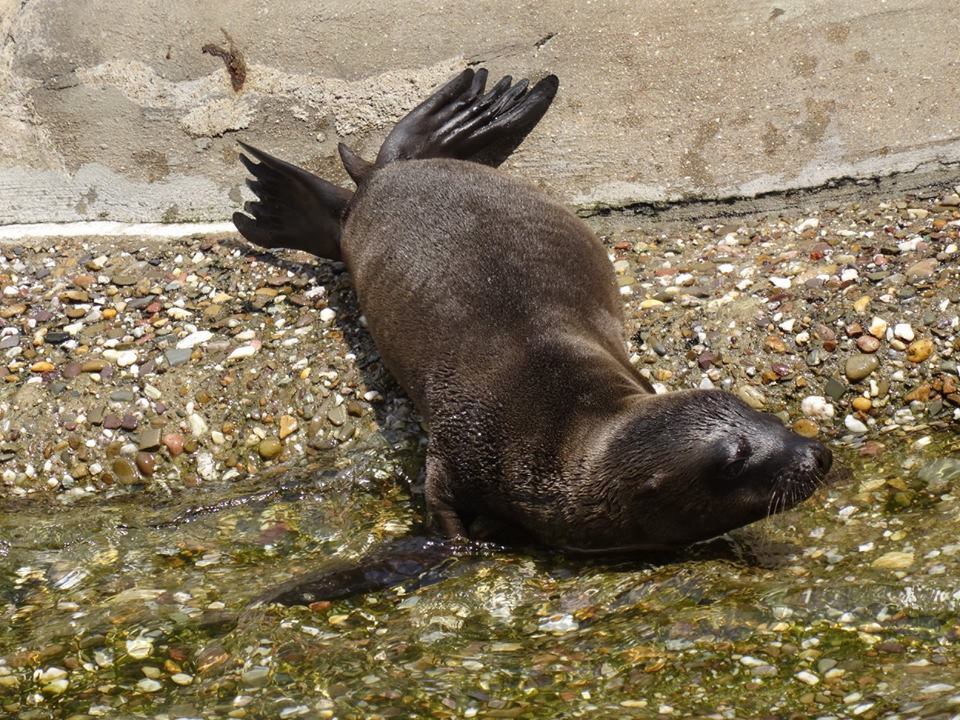 Erste Wasserannäherung