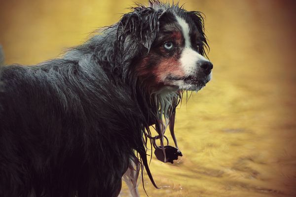 Erste Wasserannäherung