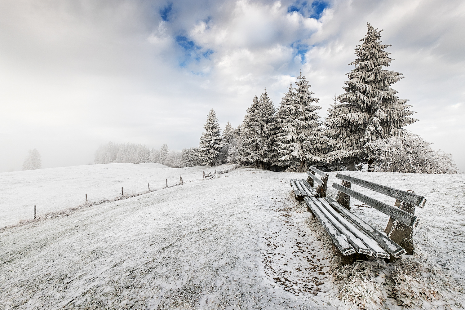 erste wintergrüße