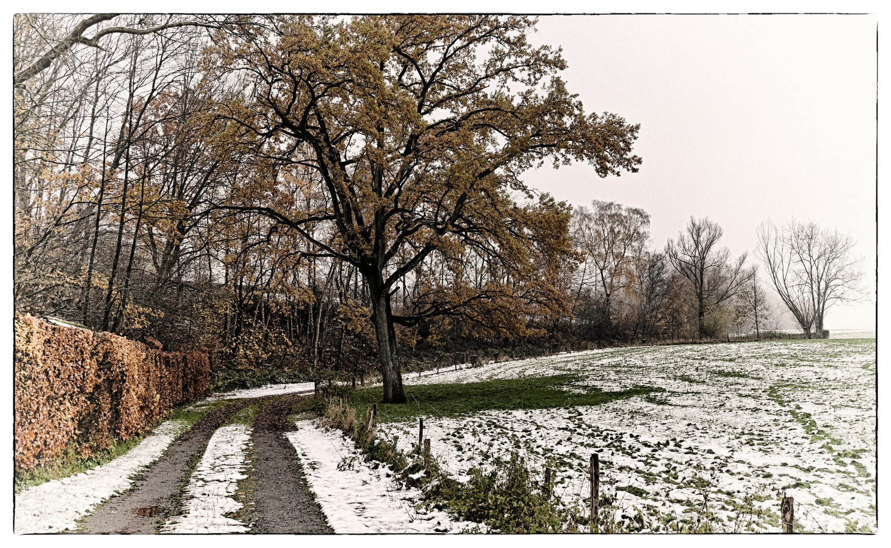 Erste Winterimpression... - Première impression hivernale ...