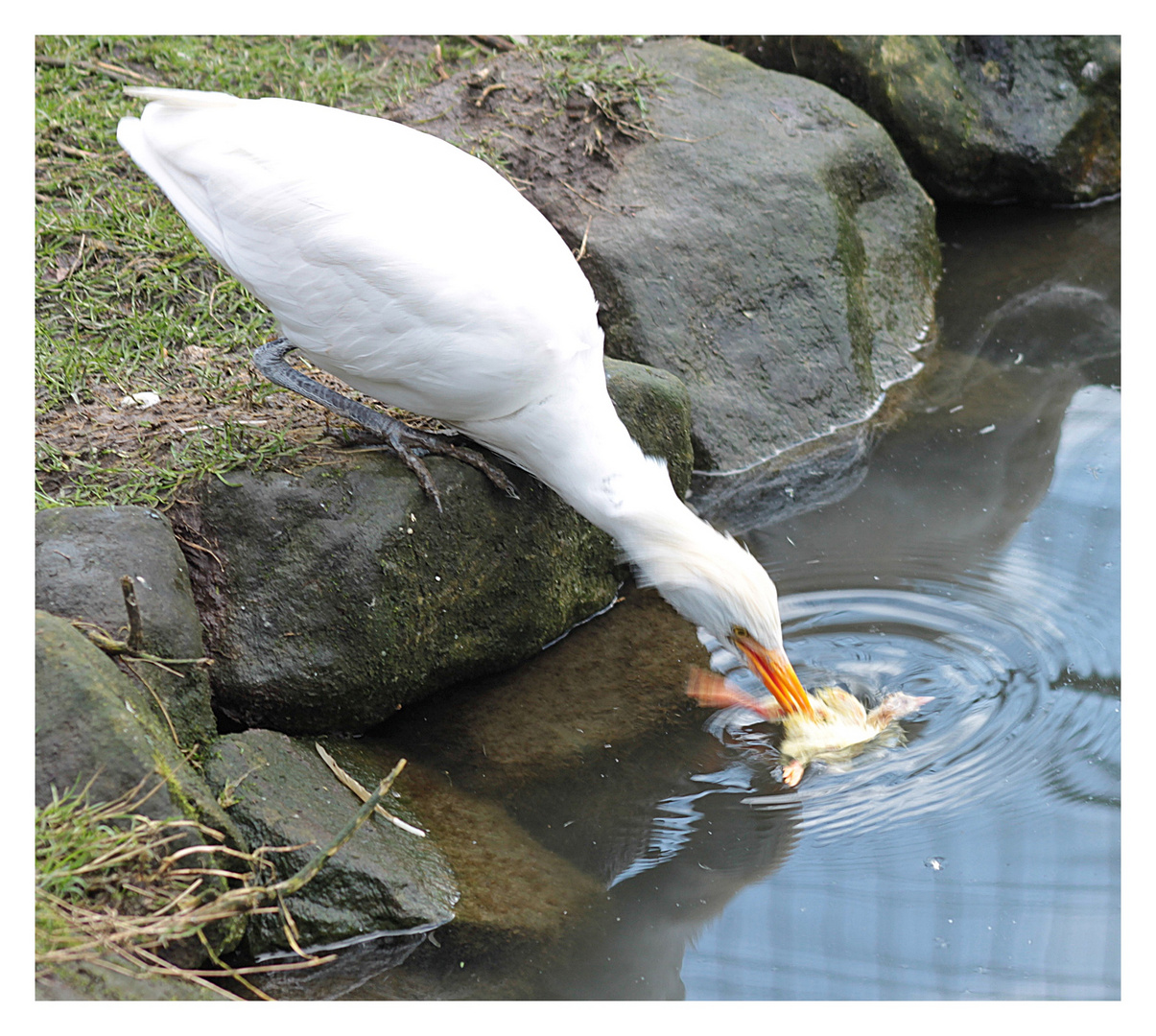 Ersteinmal waschen