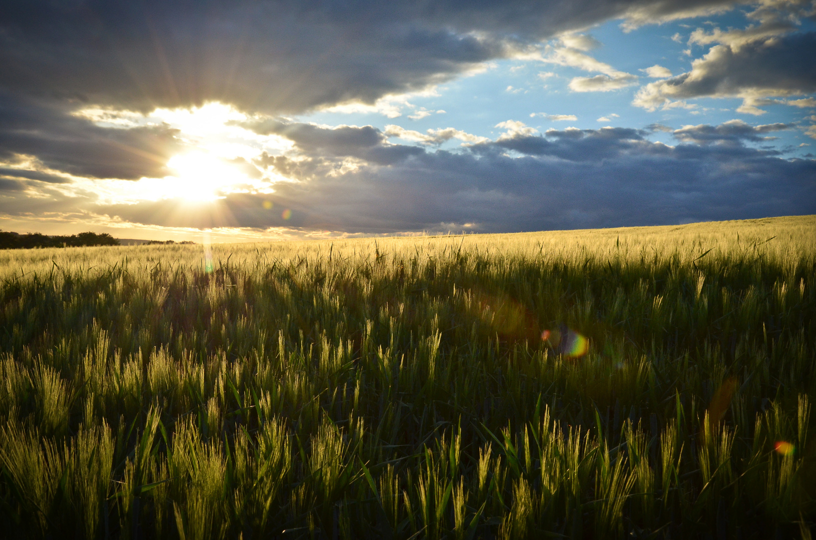 erstellt im Feld II