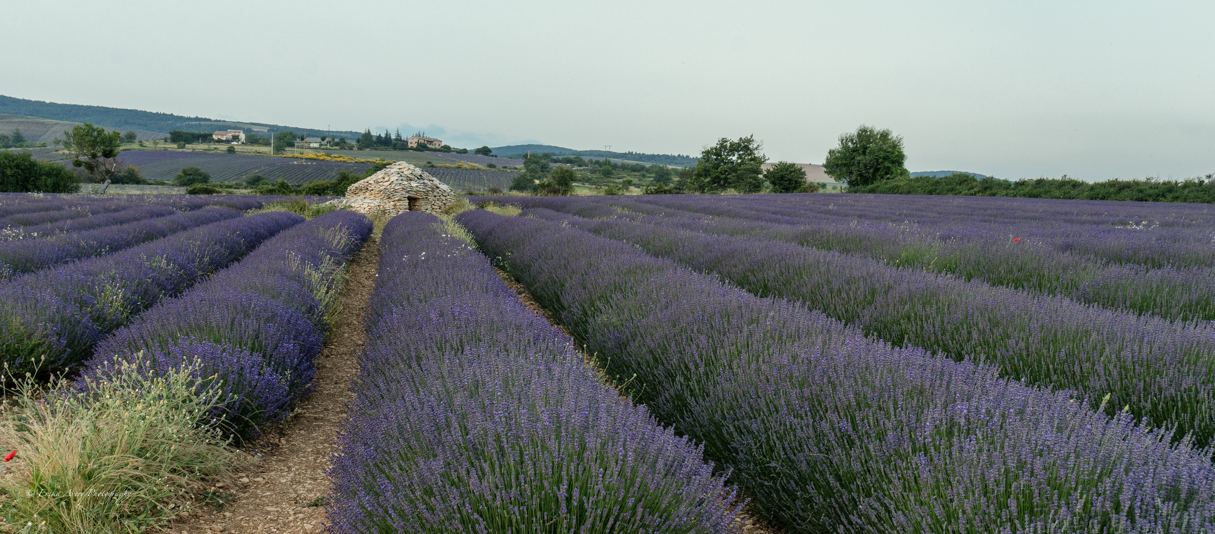 Erster Abend in der Provence