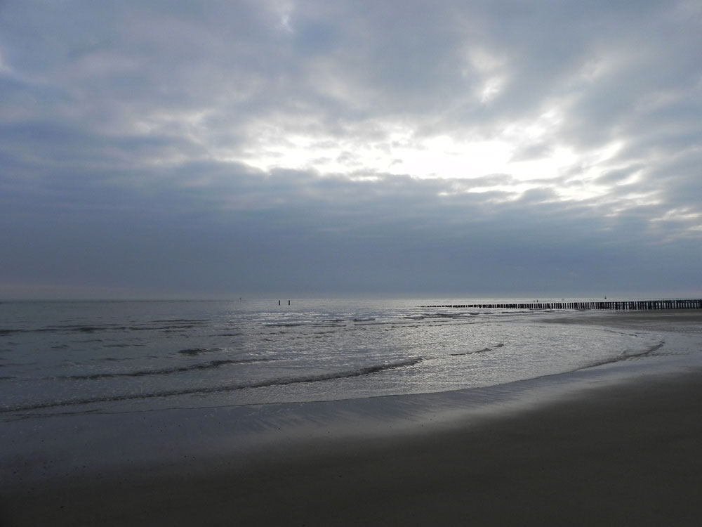 Erster Abendspaziergang an der Westerschelde