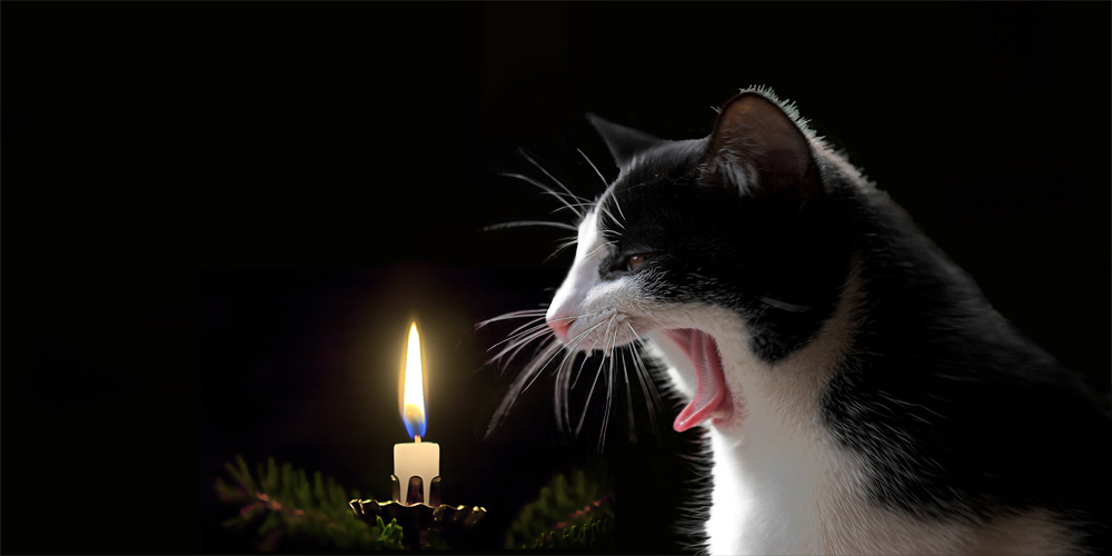 View Erster Advent Gif