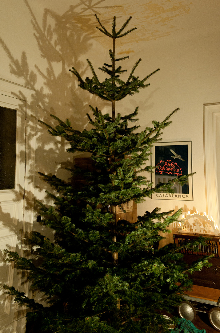 erster Akt: er steht - der Weihnachtsbaum ( .. !)