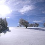 Erster auf dem Schauinsland