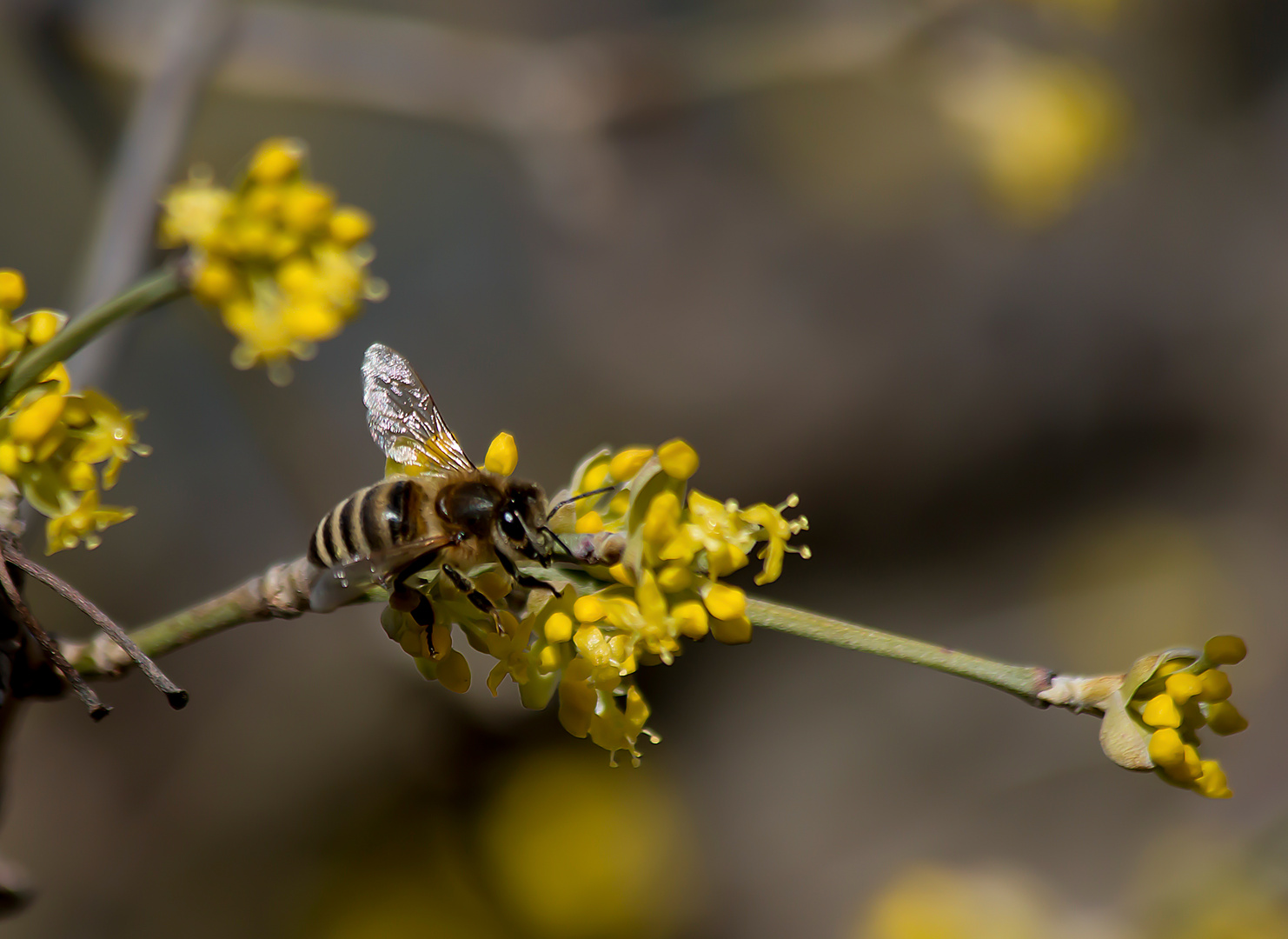 erster Ausflug im Frühling