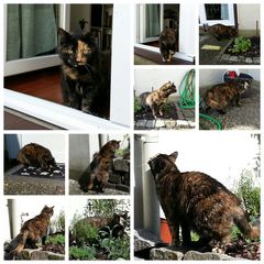 Erster Ausflug in den Garten - Terrasse