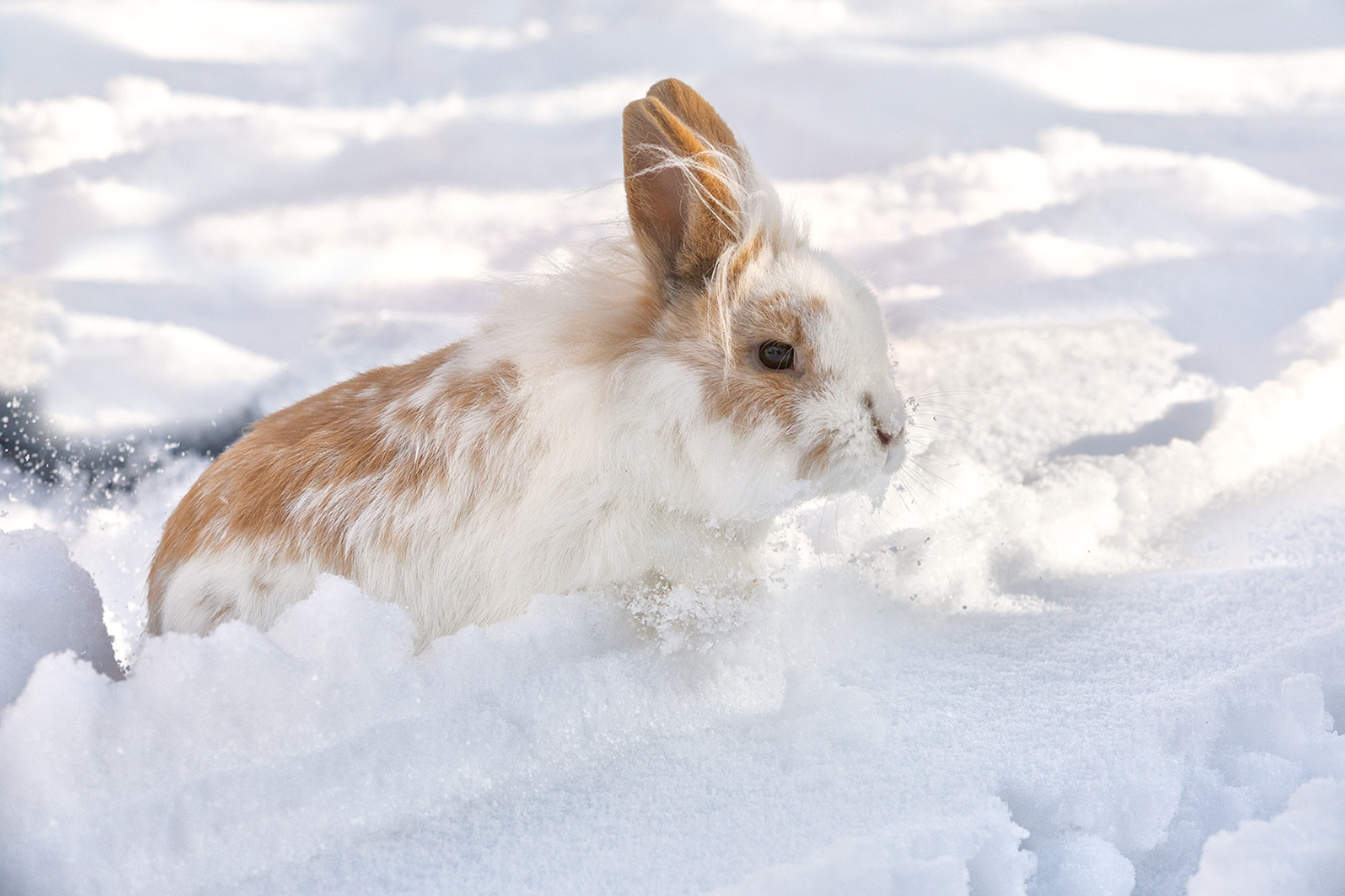 erster Ausflug in den Schnee