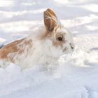 erster Ausflug in den Schnee