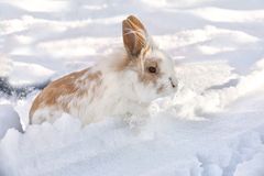 erster Ausflug in den Schnee