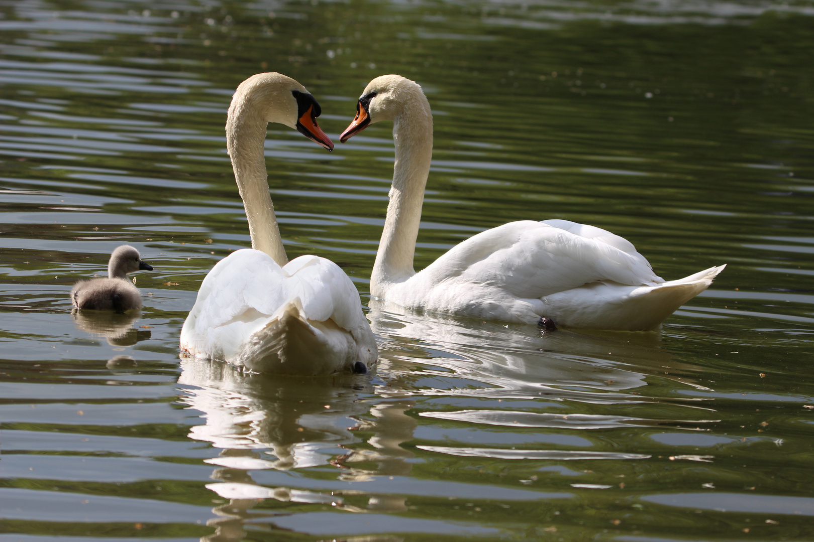 Erster Ausflug in Familie