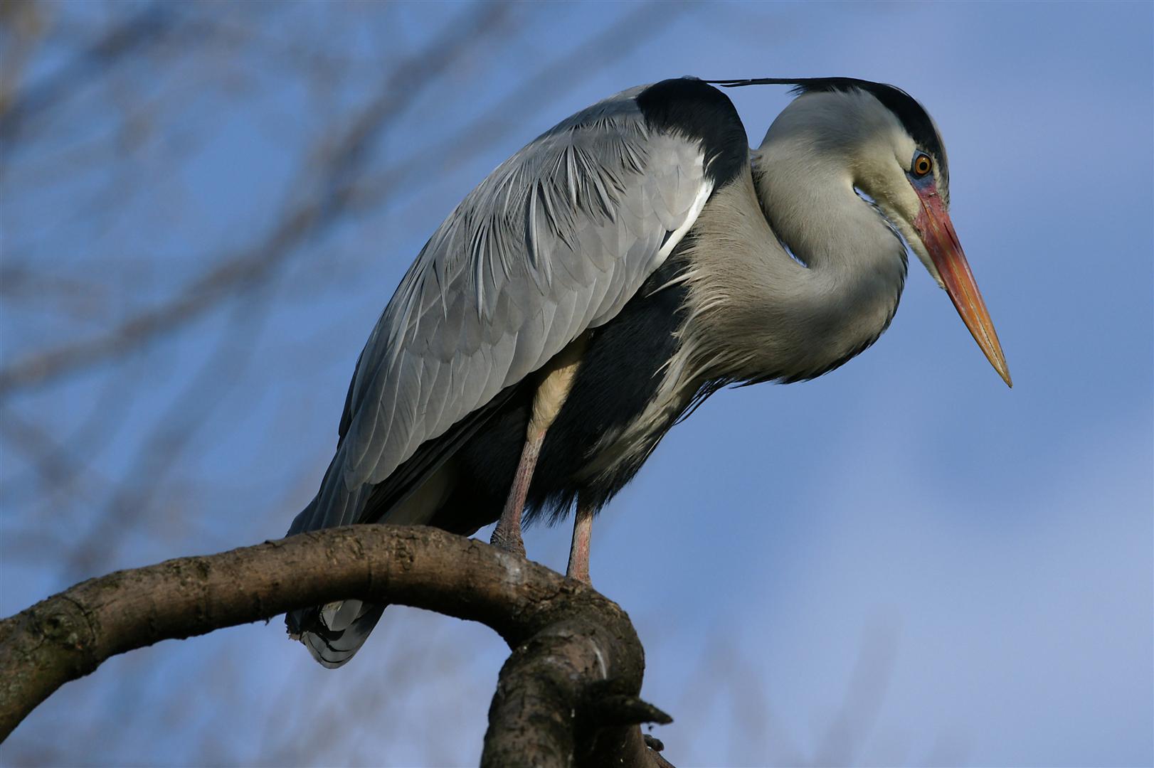 Erster Ausflug nach Schönbrunn 2011