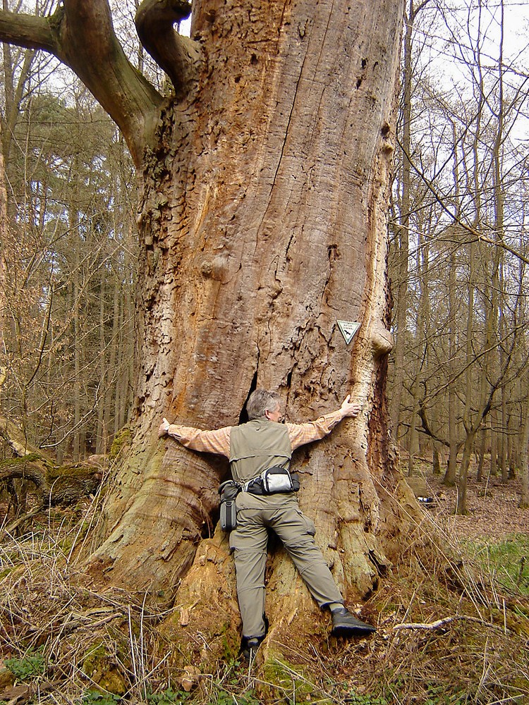 Erster Besuch beim „Alten Ludwig“ 2006: Da stand der Dicke noch