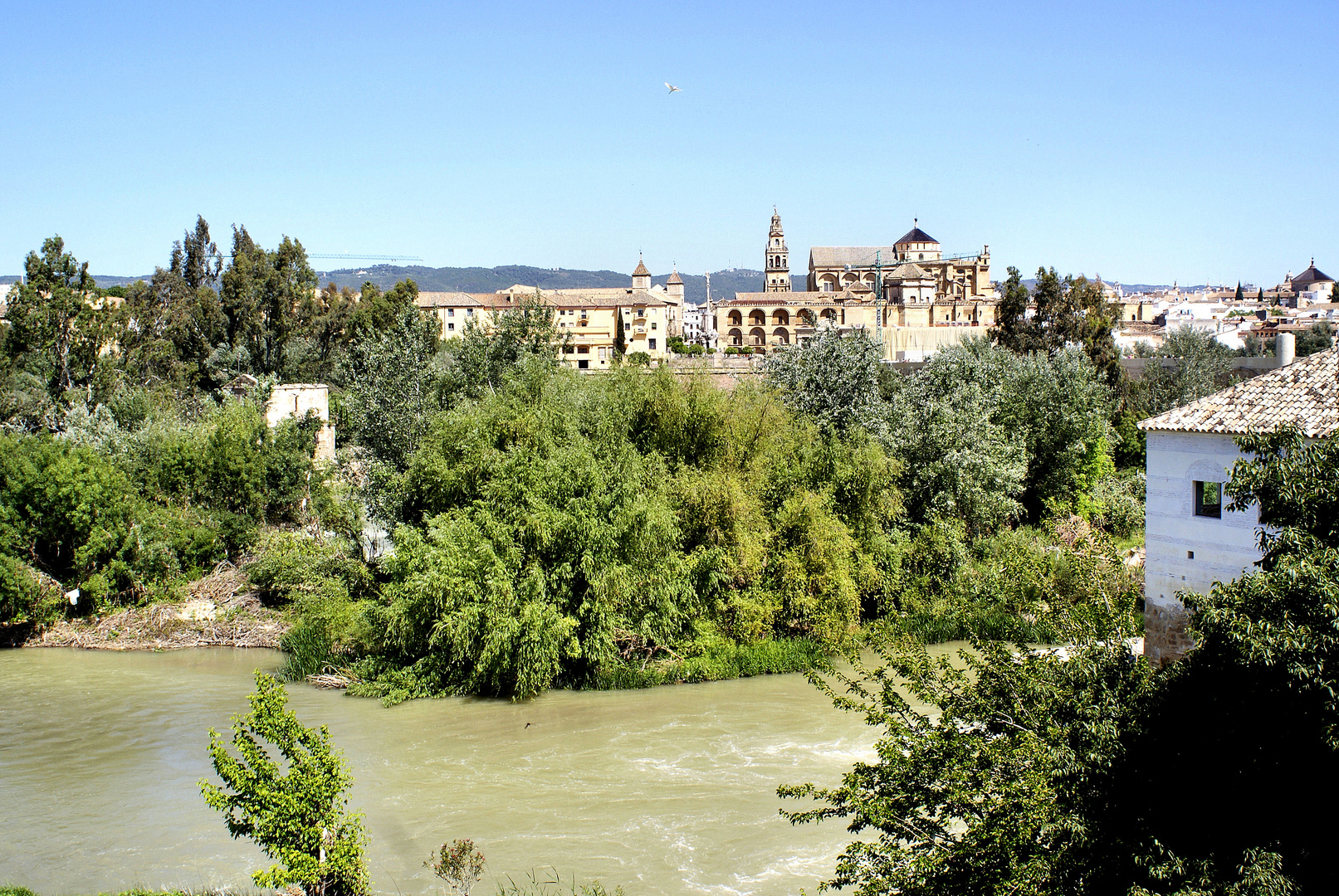 Erster Blick auf Cordoba