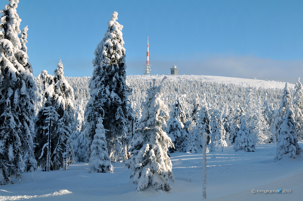 Erster Blick aufs Plateau