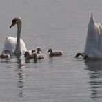 erster     FAMILIENausflug